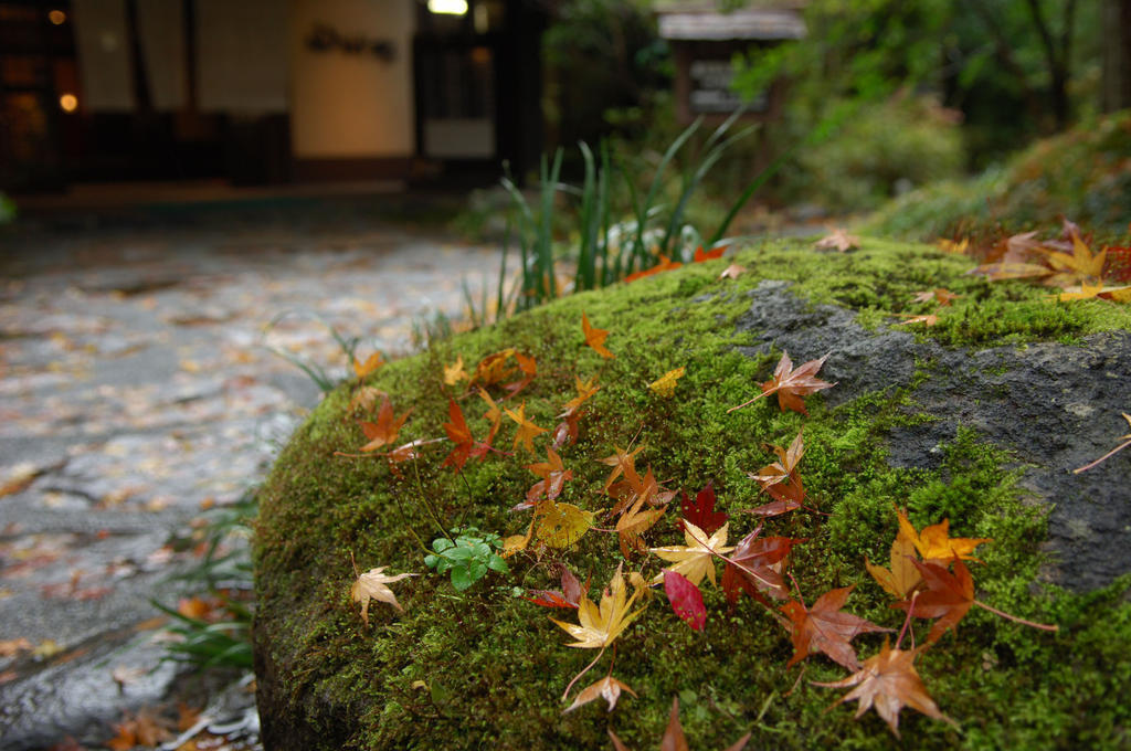 Yamamizuki Hotel Minamioguni Exterior foto